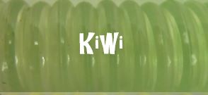 Binding Discs - KIWI