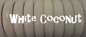 Binding Discs - WHITE COCONUT